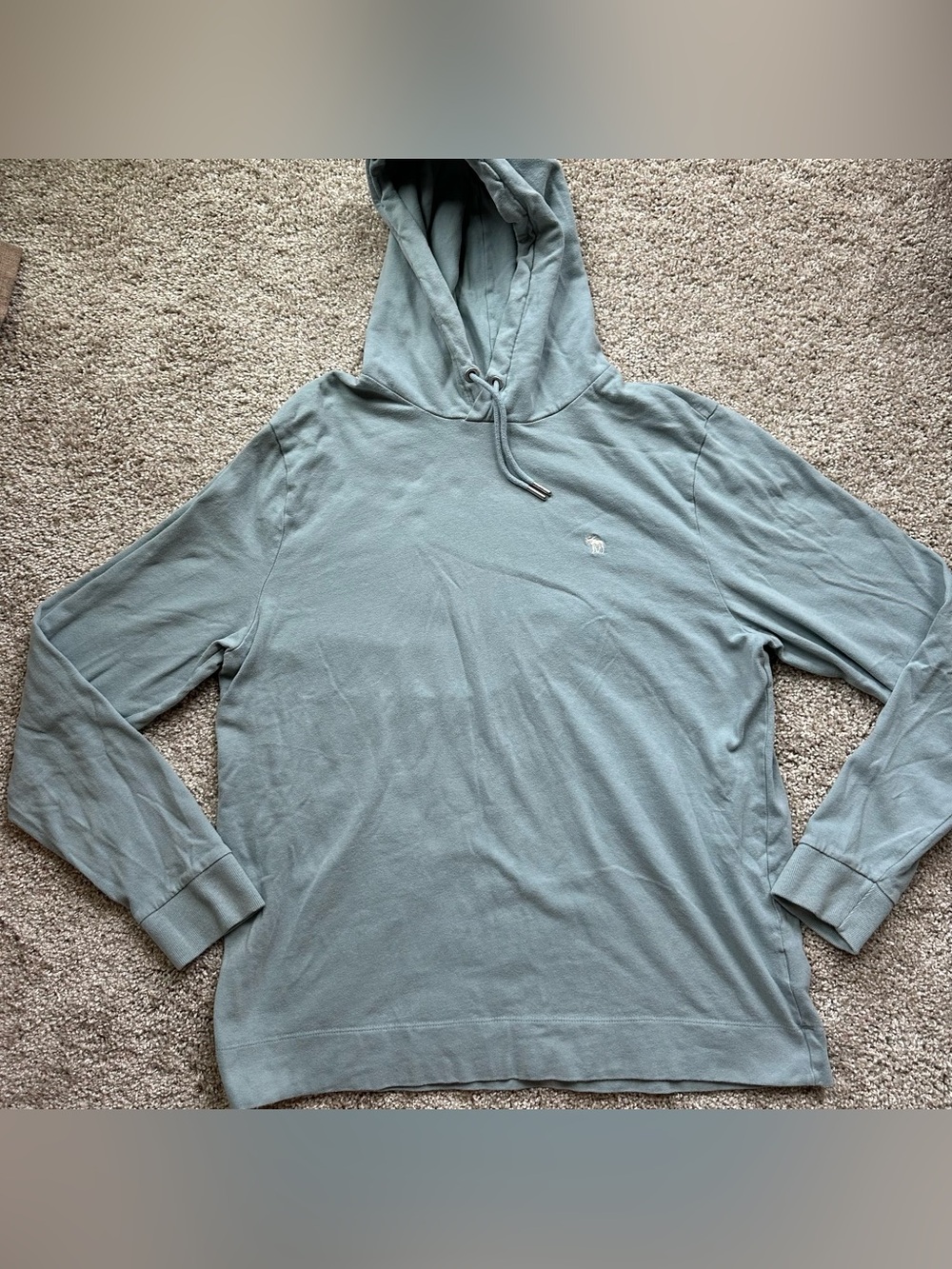 Abercrombie & Fitch Men's Hooded Pullover in Sage